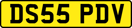 DS55PDV