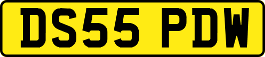 DS55PDW