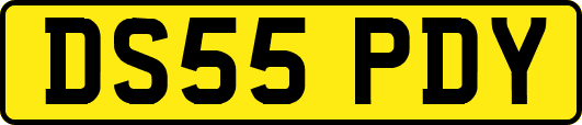 DS55PDY