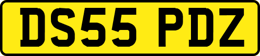 DS55PDZ