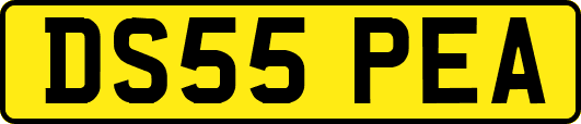 DS55PEA