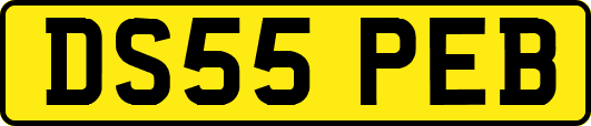 DS55PEB