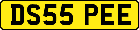 DS55PEE