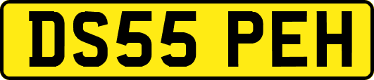 DS55PEH
