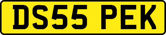 DS55PEK