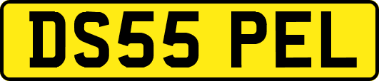 DS55PEL