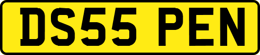 DS55PEN
