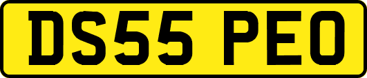 DS55PEO