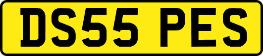 DS55PES
