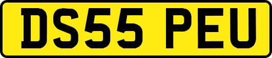 DS55PEU