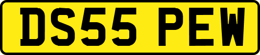 DS55PEW