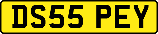 DS55PEY