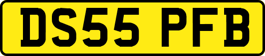 DS55PFB