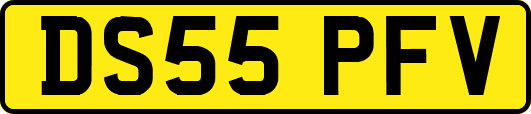 DS55PFV