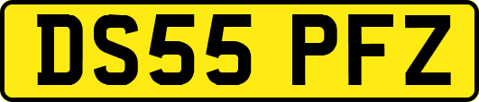 DS55PFZ