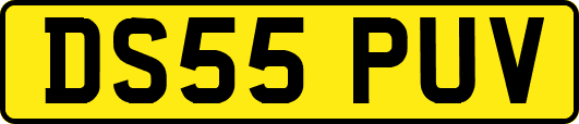 DS55PUV