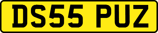 DS55PUZ