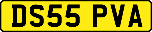 DS55PVA