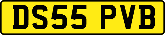 DS55PVB