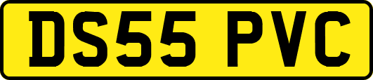 DS55PVC