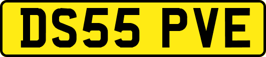 DS55PVE