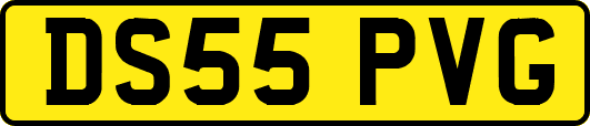 DS55PVG