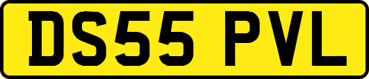 DS55PVL