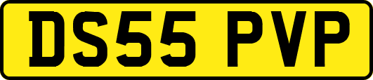 DS55PVP