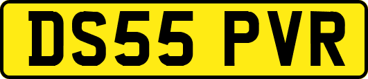 DS55PVR