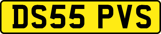 DS55PVS