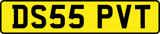 DS55PVT