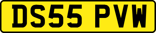 DS55PVW