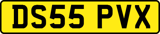 DS55PVX
