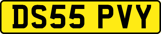 DS55PVY