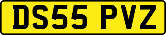 DS55PVZ