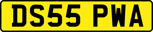 DS55PWA
