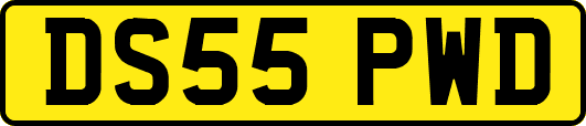 DS55PWD