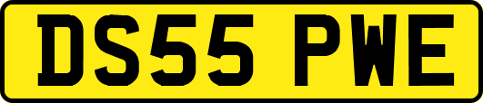 DS55PWE