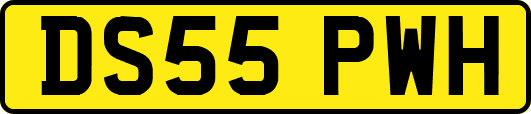 DS55PWH