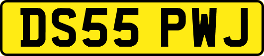 DS55PWJ
