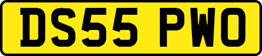 DS55PWO