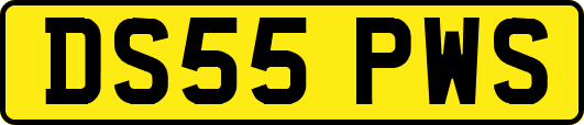 DS55PWS