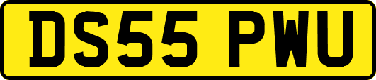 DS55PWU