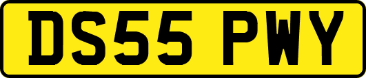 DS55PWY