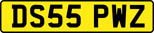 DS55PWZ