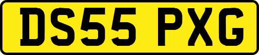 DS55PXG