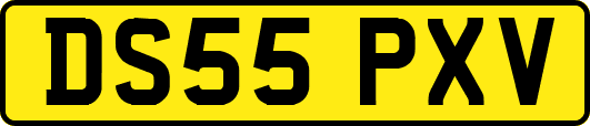 DS55PXV