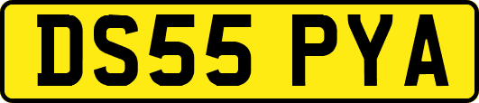 DS55PYA