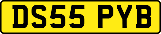 DS55PYB