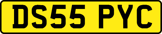 DS55PYC